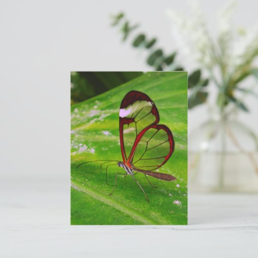 清掃 ポストカード (スタンド正面)