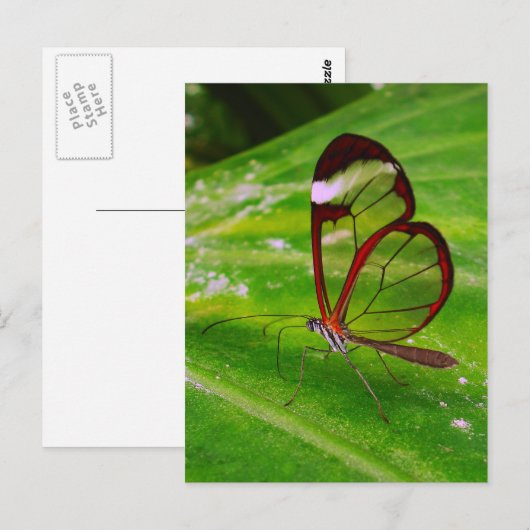 清掃 ポストカード (正面/裏面)