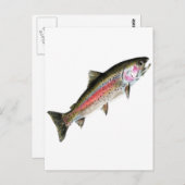 清浄な人 ポストカード (正面/裏面)