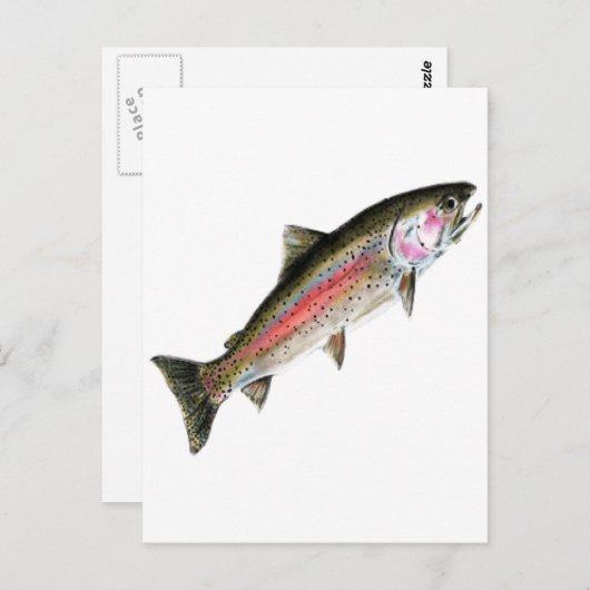 清浄な人 ポストカード (正面/裏面)