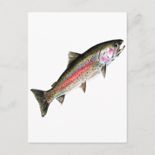 清浄な人 ポストカード (正面)