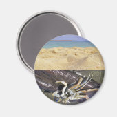 清潔か汚い？GDI! マグネット (正面/裏面)