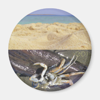 清潔か汚い？GDI! マグネット