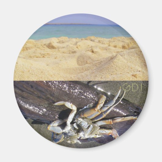 清潔か汚い？GDI! マグネット (正面)