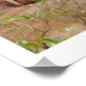 清潔感は信心深さに次ぐ ポスター (角)