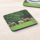 清算に立っているSikaのシカ コースター (左側)