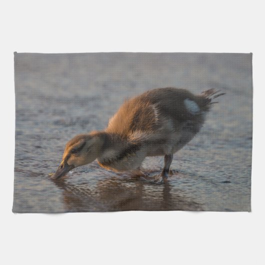 渇いたベビー キッチンタオル (横)