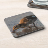 渇いたベビー コースター (左側)