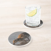 渇いたベビー コースター (側面)