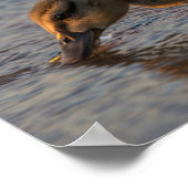 渇いたベビー ポスター (角)