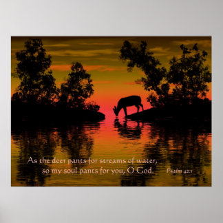 渇いた ポスター