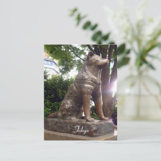 渋谷八子 ポストカード (スタンド正面)