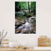 渓流 ポスター (キッチン)