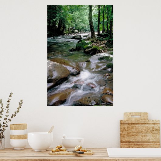 渓流 ポスター (キッチン)