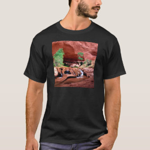 渓谷のコヨーテの渓谷Escalante Riverutah Tシャツ
