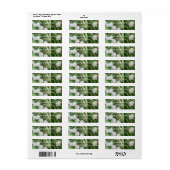 渓谷のゴージャスなリリー ラベル (フルシート)