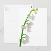 渓谷のリリー ポストカード (正面/裏面)