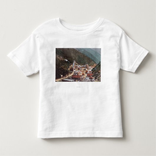 渓谷の下で見るHecla鉱山の眺め トドラーTシャツ (正面)