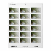 渓谷の山川、自然、風景 ラベル (フルシート)