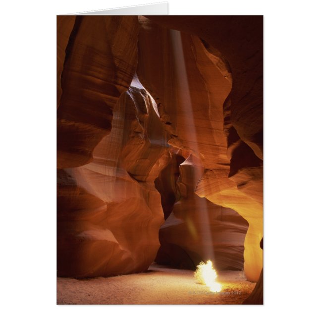 渓谷の床のtumbleweedに当る太陽光線 (正面)