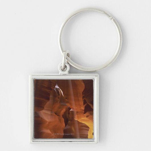 渓谷の床のtumbleweedに当る太陽光線 キーホルダー (正面)