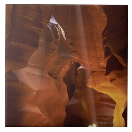 渓谷の床のtumbleweedに当る太陽光線 タイル (正面)