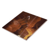 渓谷の床のtumbleweedに当る太陽光線 タイル (側面)