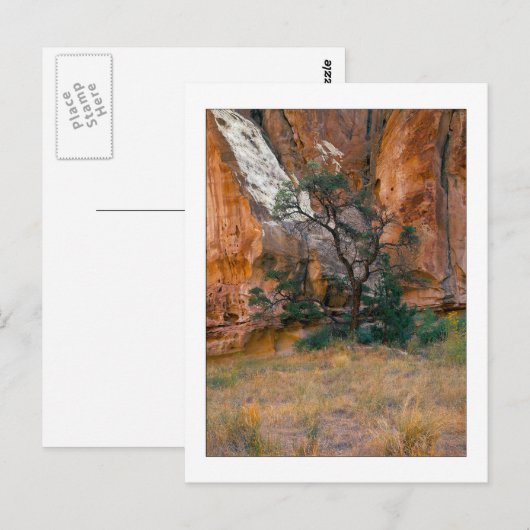 「渓谷の眺め(木)」 ポストカード (正面/裏面)