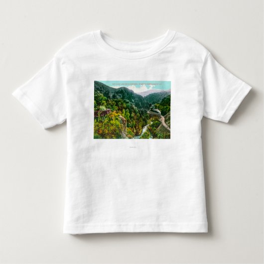 渓谷の空中写真、南太平洋のTrai トドラーTシャツ (正面)