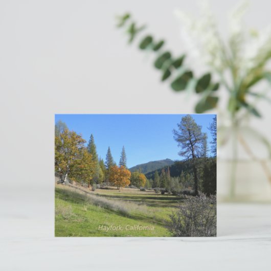 渓谷の美しい景色….. ポストカード (スタンド正面)