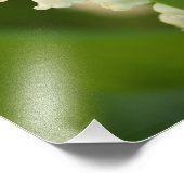 渓谷の花のユリ フォトプリント            (角)