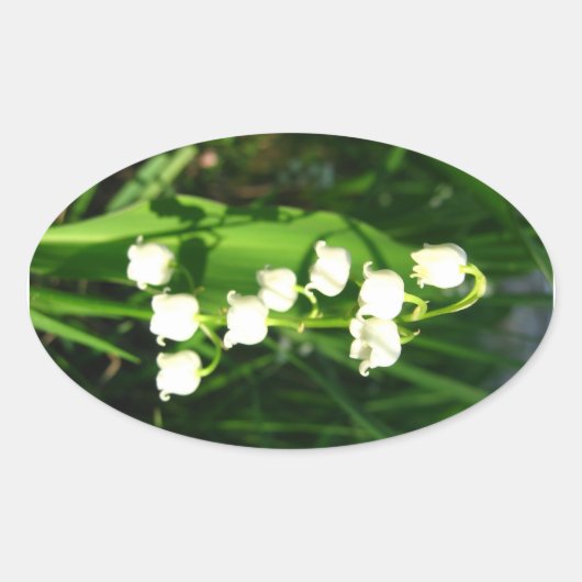 渓谷の花のユリ 楕円形シール (正面)