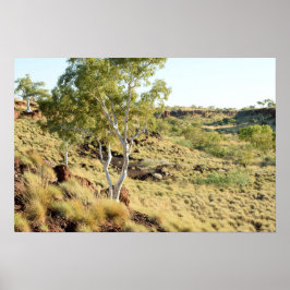 渓谷ビュー ポスター