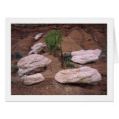 "渓谷ポッド" (正面横)