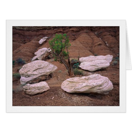 "渓谷ポッド" (正面横)