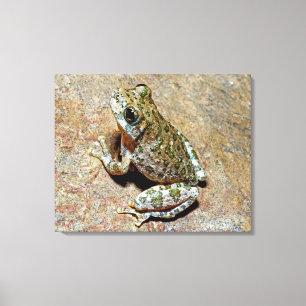 渓谷Treefrog キャンバスプリント