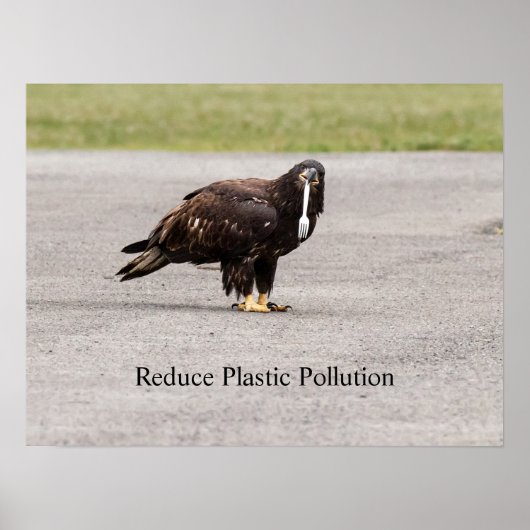 減らプラスチック汚染 ポスター (正面)