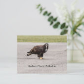 減らプラスチック汚染 ポストカード (スタンド正面)