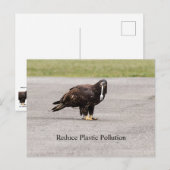 減らプラスチック汚染 ポストカード (正面/裏面)