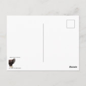 減らプラスチック汚染 ポストカード (裏面)