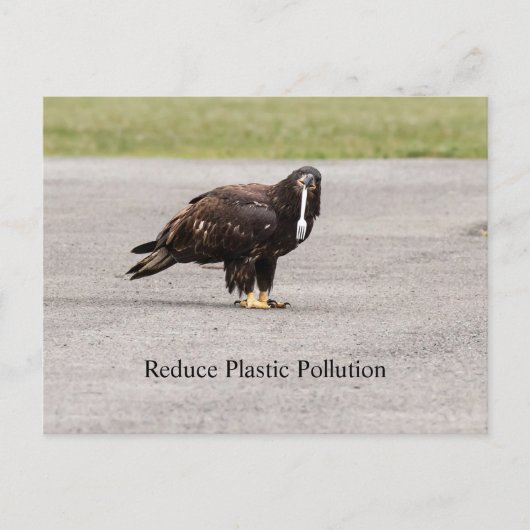減らプラスチック汚染 ポストカード (正面)