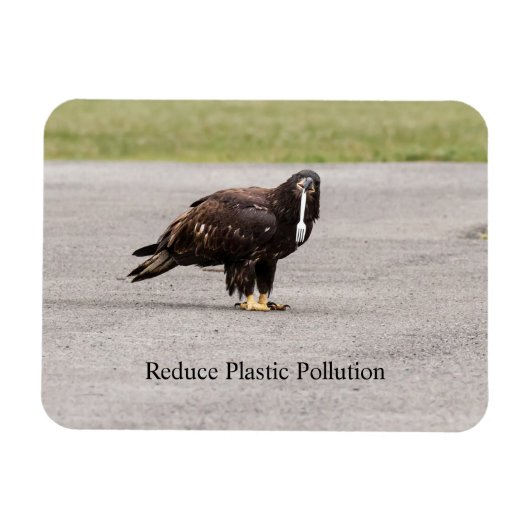 減らプラスチック汚染 マグネット (横)