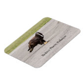 減らプラスチック汚染 マグネット (左側)