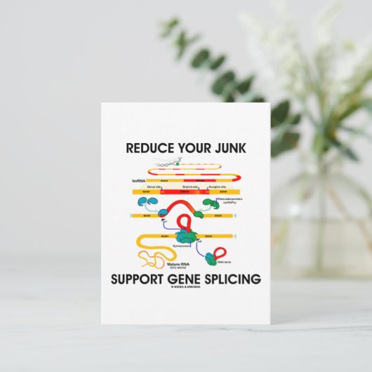 減らJunk Support Gene Splicing (RNA Umous) ポストカード (スタンド正面)