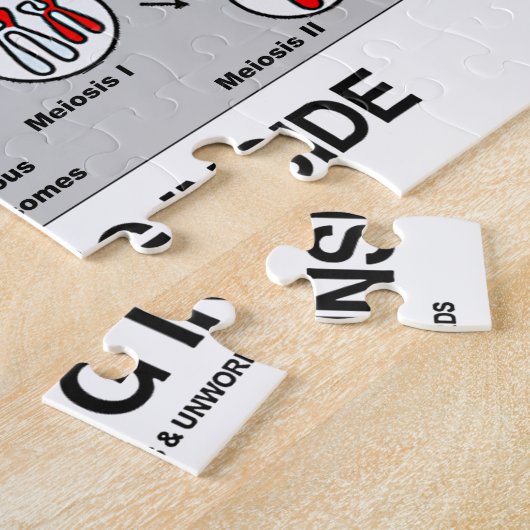 減数分裂の進行中の内部のプロセス ジグソーパズル (側面)