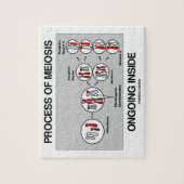 減数分裂の進行中の内部のプロセス ジグソーパズル (縦)