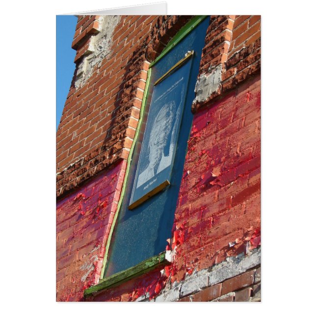 減衰カラフル (正面)