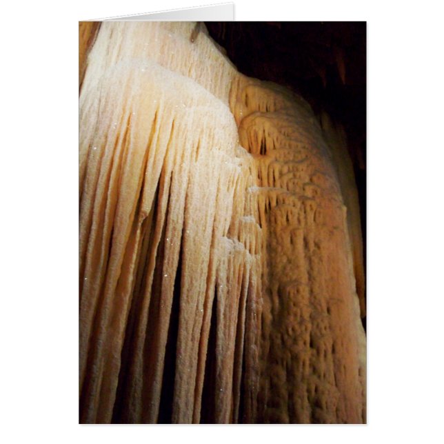 減退潮カード (正面)