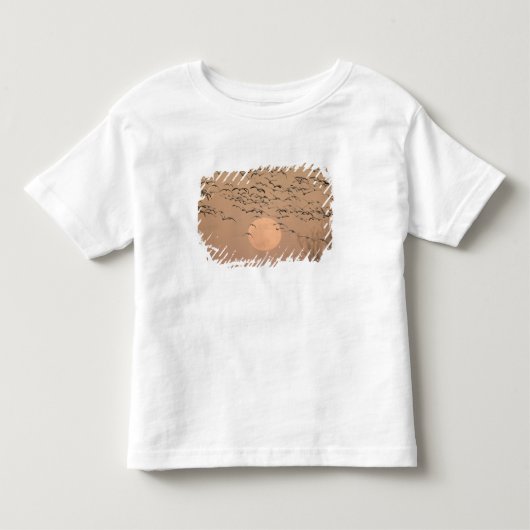 渡り雪ガチョウのグループGrus トドラーTシャツ (正面)