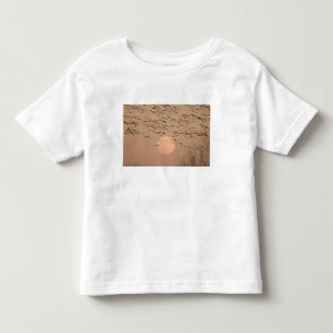 渡り雪ガチョウのグループGrus トドラーTシャツ